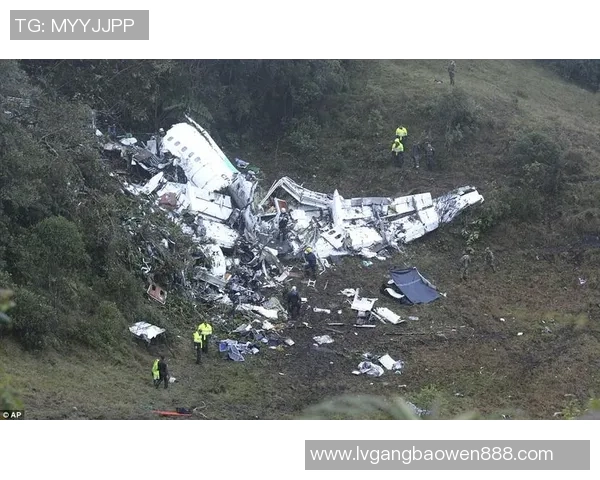 巴西足球明星乘坐飞机失事震惊世界的悲剧引发广泛关注与哀悼 巴西足球明星乘坐飞机失事震惊世界的悲剧引发广泛关注与哀悼