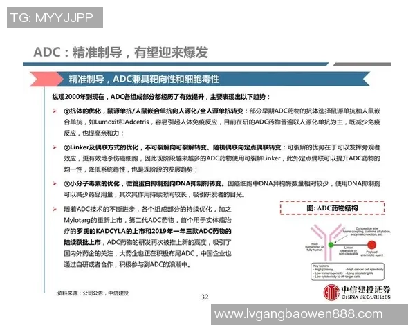 南京羽毛球队防反战术解析与战绩提升的深度探讨